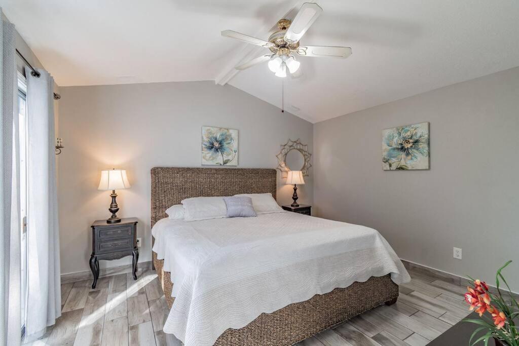 Town 'N' Country Cozy Corner, Your Florida Fun Hub Villa Tampa Bagian luar foto