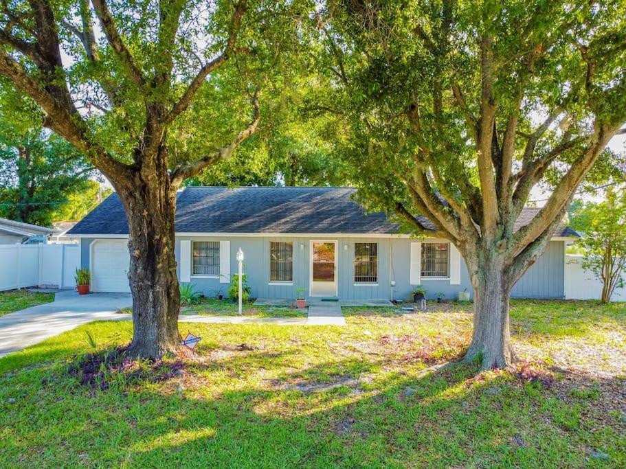 Town 'N' Country Cozy Corner, Your Florida Fun Hub Villa Tampa Bagian luar foto